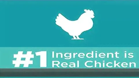IAMS PROACTIVE HEALTH Adult Indoor Weight Control & Hairball Care Dry Cat Food with Chicken & Turke
